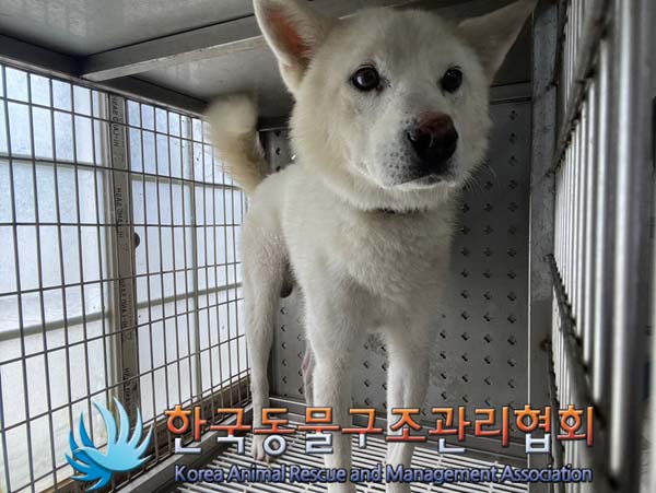 한국동물구조관리협회_441559202400940